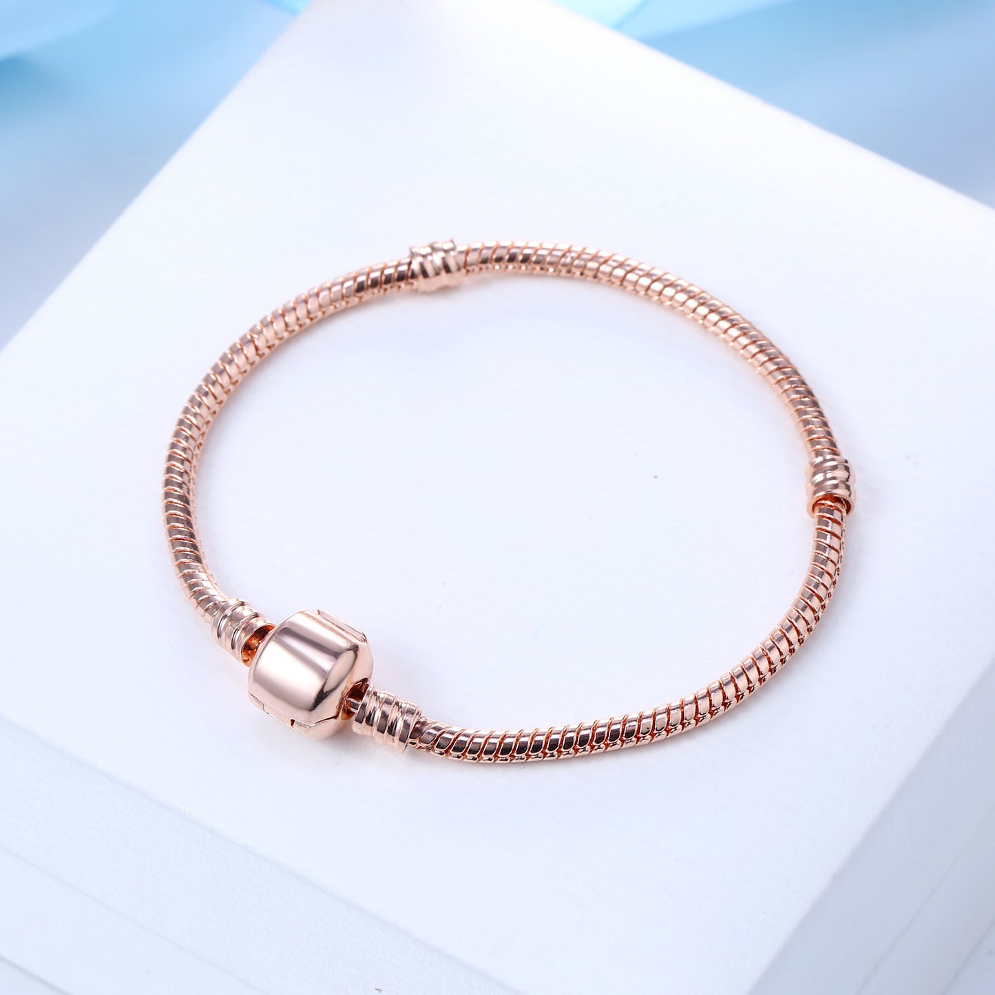 Snake Bone Chain DIY Bracelet