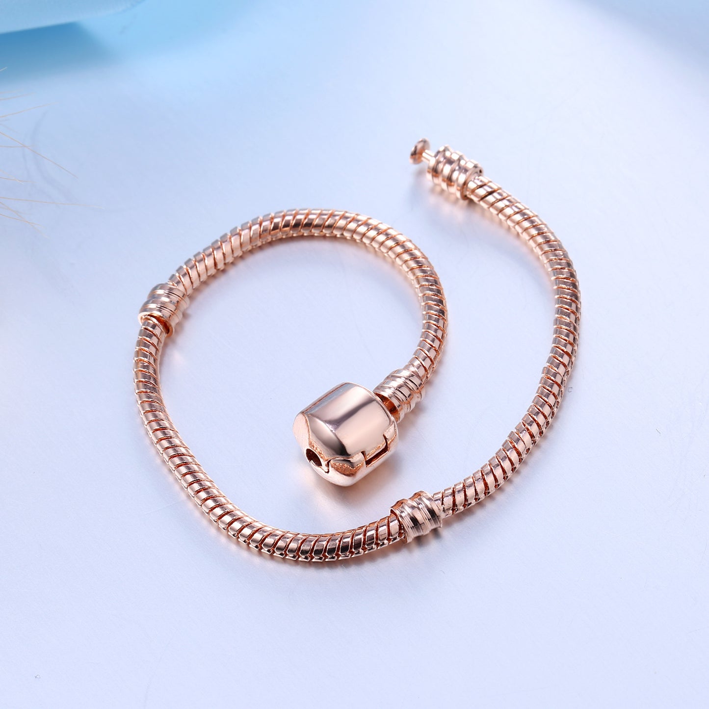 Snake Bone Chain DIY Bracelet