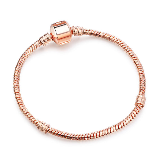 Snake Bone Chain DIY Bracelet