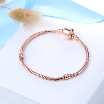 Snake Bone Chain DIY Bracelet