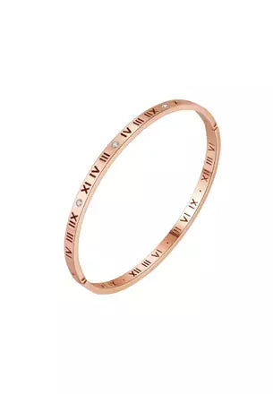 Titanium RomanScript Bracelet